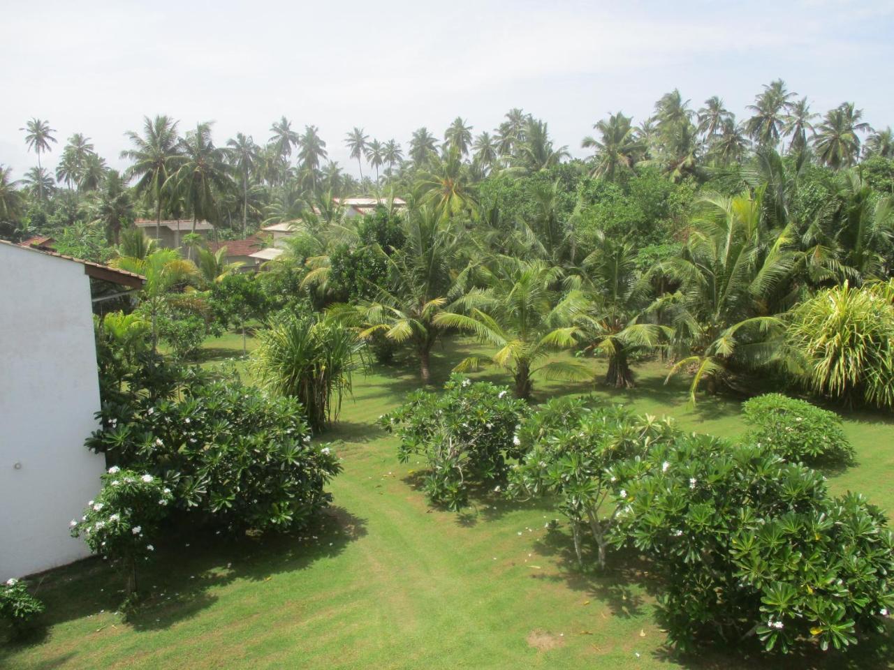 Raja Beach Hotel Балапития Экстерьер фото